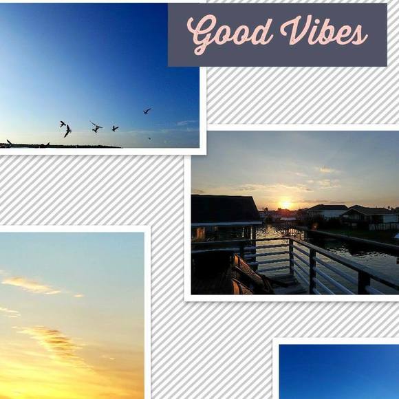 Meet your Posher, Debra - Picture 1 of 1